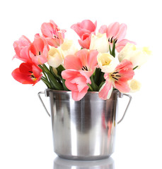 beautiful pink tulips in bucket isolated on white.