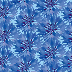 бесшовный фон из васильков, Print