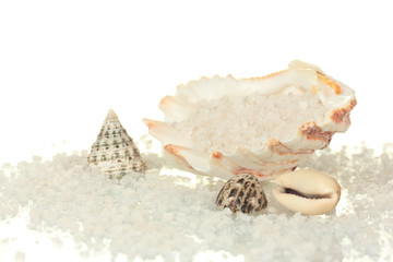 Obraz na płótnie Canvas Sól morska z muszli wyizolowanych na białym bliska