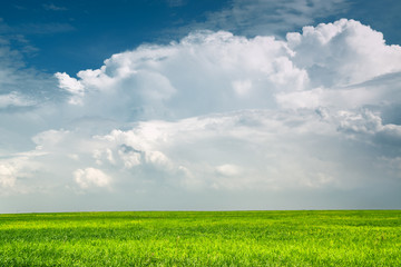Fototapeta premium Rain cloud over green plain