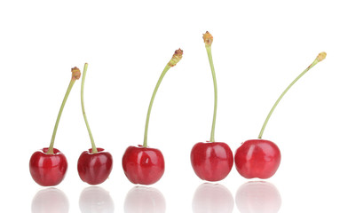 Ripe cherry berries isolated on white