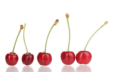 Ripe cherry berries isolated on white