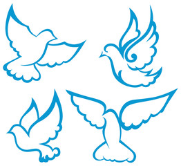Vector dove symbol