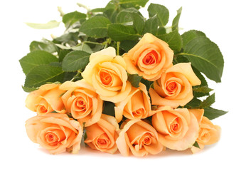 beautiful bouquet of roses isolated on white