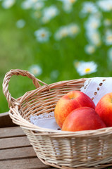 Korb mit Äpfeln auf Gartentisch
