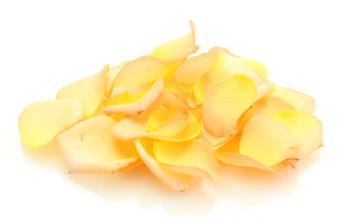 Fototapeta na wymiar beautiful orange rose petals isolated on white