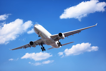 Passenger Airliner Arrival