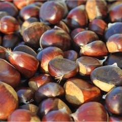 Chestnuts