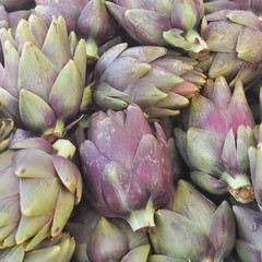 Artichoke vegetables