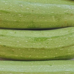 Courgettes zucchini