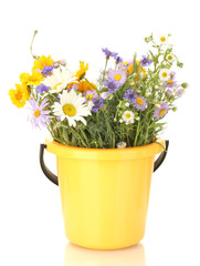 bouquet of wildflowers in bucket isolated on white