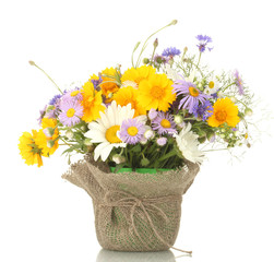 bouquet of wildflowers in flowerpot isolated on white