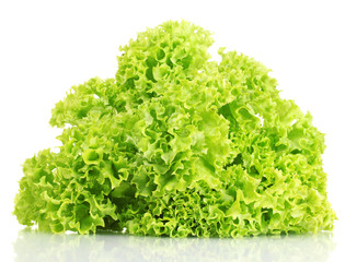 Fototapeta premium fresh lettuce isolated on white