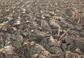 Plowing