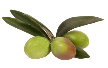 Olive