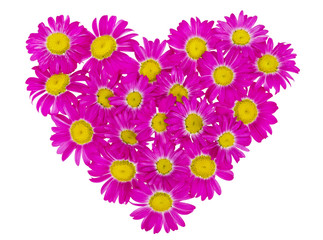 heart from  pink daisies