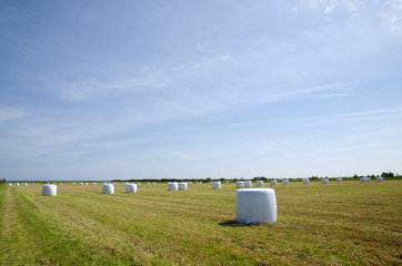 Plastic bales