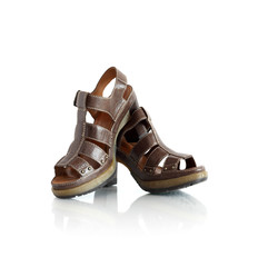 Stylish Female Summer Shoes