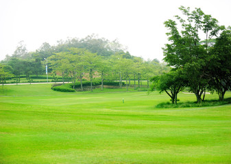 golf course greens