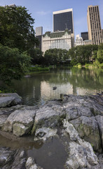 Fototapeta premium Central Park view of plaza