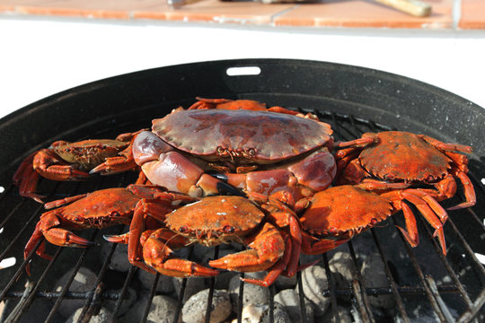 Crab On Charcoal Grill