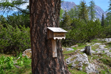 Stempelkasten Wanderweg - Wanderstempel