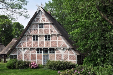 Fototapeta na wymiar Half-drewniany dom