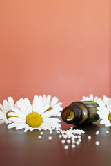 Homöopathische Kamillenglobuli