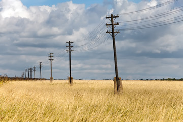 Old wooden electric pillar in the field