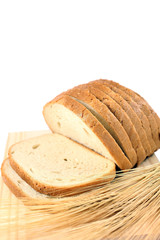 bread wheat