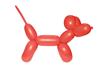 red balloon in the shape of a poodle