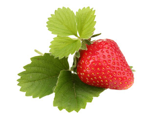 sweet ripe strawberry with leaves isolated on white