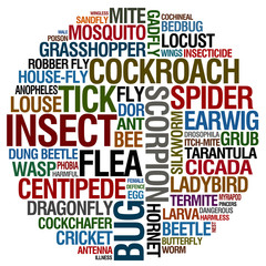 insects