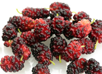 mulberry on white background close-up