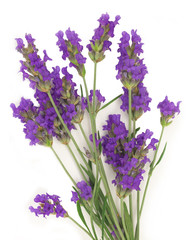 Naklejka premium lavender spa arrangement