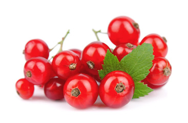 Red Currant