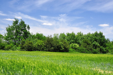 Nature in the Czech Republic