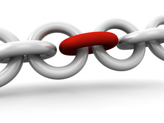 Konzept System, Vernetzt