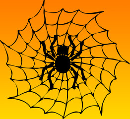 Obraz premium Araignée halloween