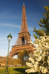 Eiffel Tower during spring time in Paris, France