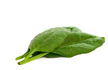 Fresh spinach with water drops