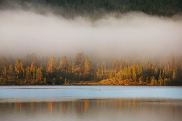Fog on lake