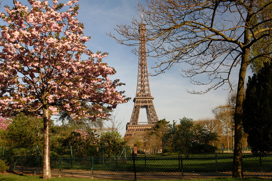 Fototapeta Eiffel Tower in spring time,  Paris, France