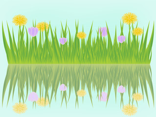 Flowering meadow reflecting in the water