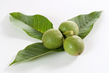 walnut nuts