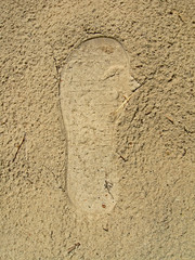 one left footprint on the grunge wet sand closeup, travel environment diversity