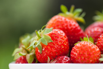 Erdbeeren in Schale