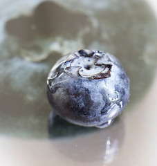Blueberry on a tablet displaying a blueberry