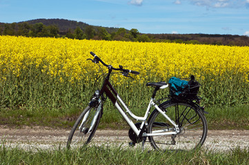 Ausflug mit dem Fahrrad