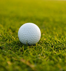 Golf ball on the field close-up b